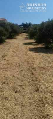 εικόνα_Viber_2025-06-12_12-32-00-863.jpg